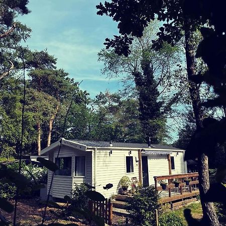 Knus Chalet Midden In De Bossen 宁斯佩特 外观 照片