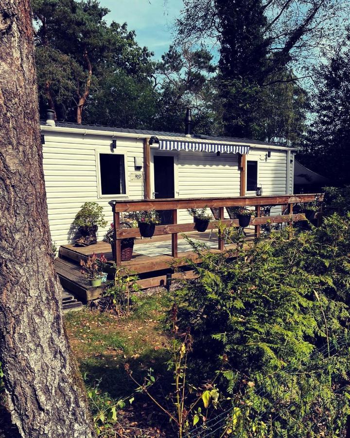 Knus Chalet Midden In De Bossen 宁斯佩特 外观 照片