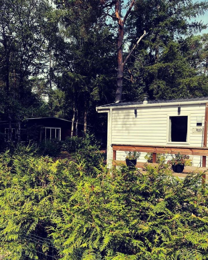 Knus Chalet Midden In De Bossen 宁斯佩特 外观 照片