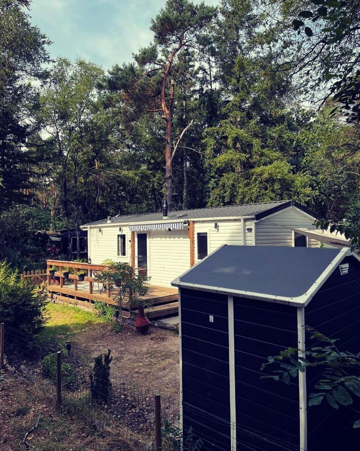 Knus Chalet Midden In De Bossen 宁斯佩特 外观 照片